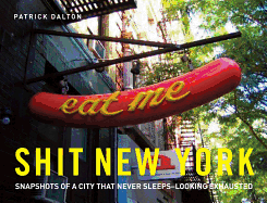 Shit New York: Snapshots of the city that never sleeps - caught napping