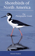 Shorebirds of North America: The Photographic Guide
