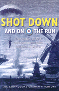 Shot Down and on the Run: True Stories of RAF and Commonwealth Aircrews of WWII