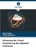 Sicherung der Cloud: Verst?rkung des digitalen Luftraums