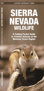 Sierra Nevada Wildlife: A Folding Pocket Guide to Familiar Montane Forest Species
