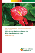 Silcio na Biotecnologia de Plantas Ornamentais