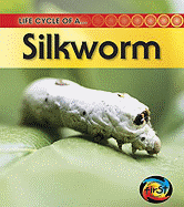 Silkworm