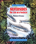 Silversides: The Life of a Sockeye
