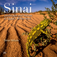 Sinai: Landscape and Nature in Egyptas Wilderness