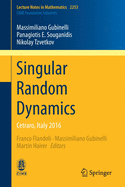 Singular Random Dynamics: Cetraro, Italy 2016