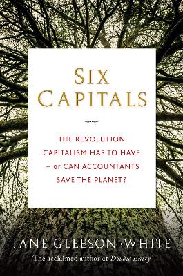 Six Capitals: The Revolution Capitalism Has to Have - or Can Accountants Save the Planet? - Gleeson-White, Jane