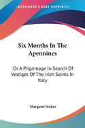 Six Months In The Apennines: Or A Pilgrimage In Search Of Vestiges Of The Irish Saints In Italy