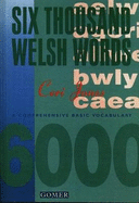 Six Thousand Welsh Words - A Comprehensive Basic Vocabulary
