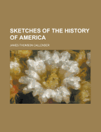 Sketches of the History of America