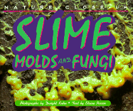 Slime, Molds and Fungi