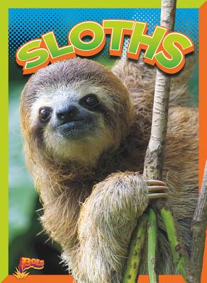 Sloths - Terp, Gail