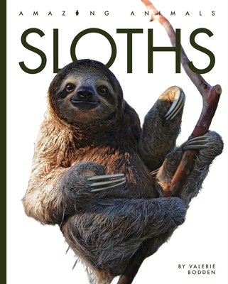 Sloths - Bodden, Valerie