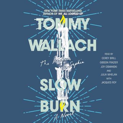 Slow Burn - Roy, Jacques (Read by), and Wallach, Tommy, and Brill, Corey (Read by)