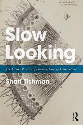 Slow Looking: The Art and Practice of Learning Through Observation - Tishman, Shari
