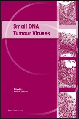 Small DNA Tumour Viruses - Gaston, Kevin (Editor)