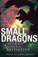 Small Dragons: A Secret Santa Initiative