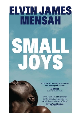 Small Joys: A Buzzfeed 'Amazing New Book You Need to Read ASAP' - Mensah, Elvin James