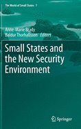 Small States and the New Security Environment