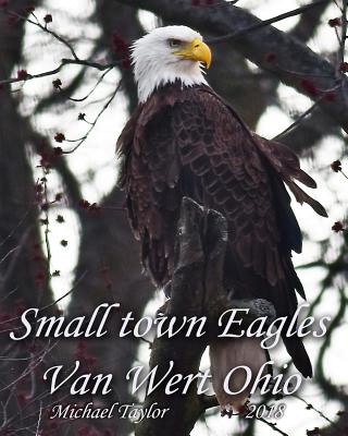 Small Town Eagles: Van Wert Ohio - Taylor, Mr Michael a