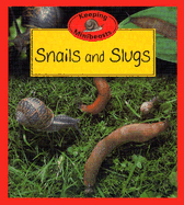 Snails and Slugs