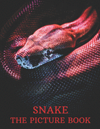 Snake: The Picture Book of Amazing Snake for Snake Lovers, Seniors, Dementia, and Alzheimer's.
