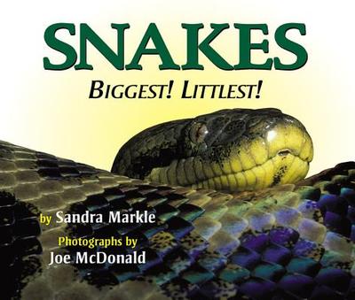 Snakes: Biggest! Littlest! - Markle, Sandra, and McDonald, Joe (Photographer)