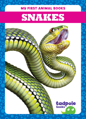 Snakes - Deniston, Natalie