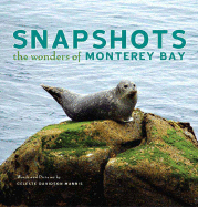 Snapshots: The Wonders of Monterey Bay