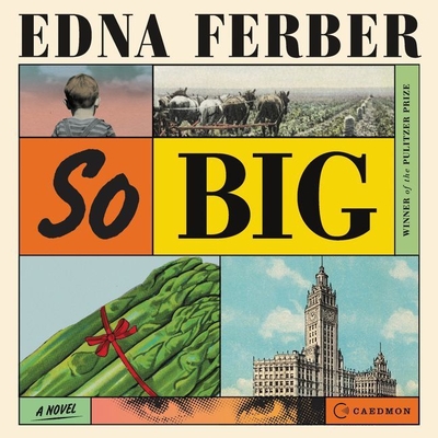 So Big - Ferber, Edna, and Campbell, Cassandra (Read by)
