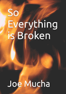So Everything is Broken