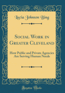 Social Work in Greater Cleveland: How Public and Private Agencies Are Serving Human Needs (Classic Reprint)