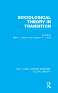 Sociological Theory in Transition (Rle Social Theory)
