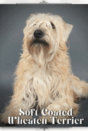 Soft Coated Wheaten Terrier: Dog breed overview and guide