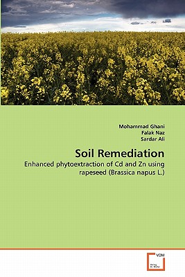 Soil Remediation - Ghani, Mohammad, and Naz, Falak, and Ali, Sardar