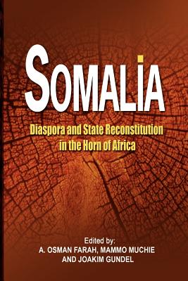 Somalia: Diaspora and State Reconstitution in the Horn of Africa - Muchie, Mammo (Editor), and Farah, A Osman (Editor), and Gundel, Joakim (Editor)