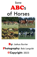 Some ABCs of Horses: The beginner's guide the the Equestrian world