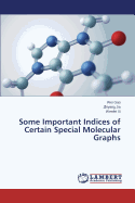 Some Important Indices of Certain Special Molecular Graphs