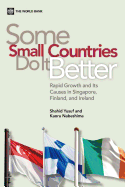 Some Small Countries Do It Better: Rapid Growth and Its Causes in Singapore, Finland, and Ireland