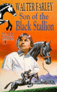 Son of the Black Stallion