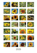 Sonnenblumen: Wochenkalender 2025