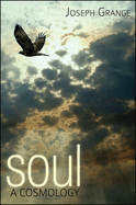 Soul: A Cosmology