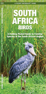 South Africa Birds: A Folding Pocket Guide to Familiar Species in the South African Region