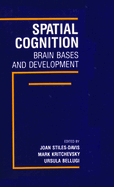 Spatial Cognition: Brain Bases and Development