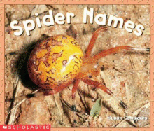 Spider Names