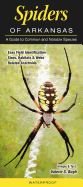 Spiders of Arkansas: A Guide to Common & Notable Species