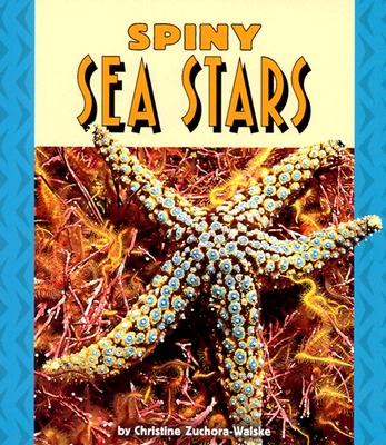 Spiny Sea Stars - Zuchora-Walske, Christine