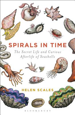 Spirals in Time: The Secret Life and Curious Afterlife of Seashells - Scales, Helen