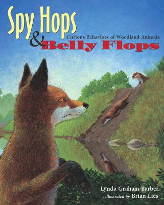 Spy Hops & Belly Flops: Curious Behaviors of Woodland Animals - Graham-Barber, Lynda