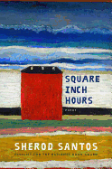 Square Inch Hours: Poems